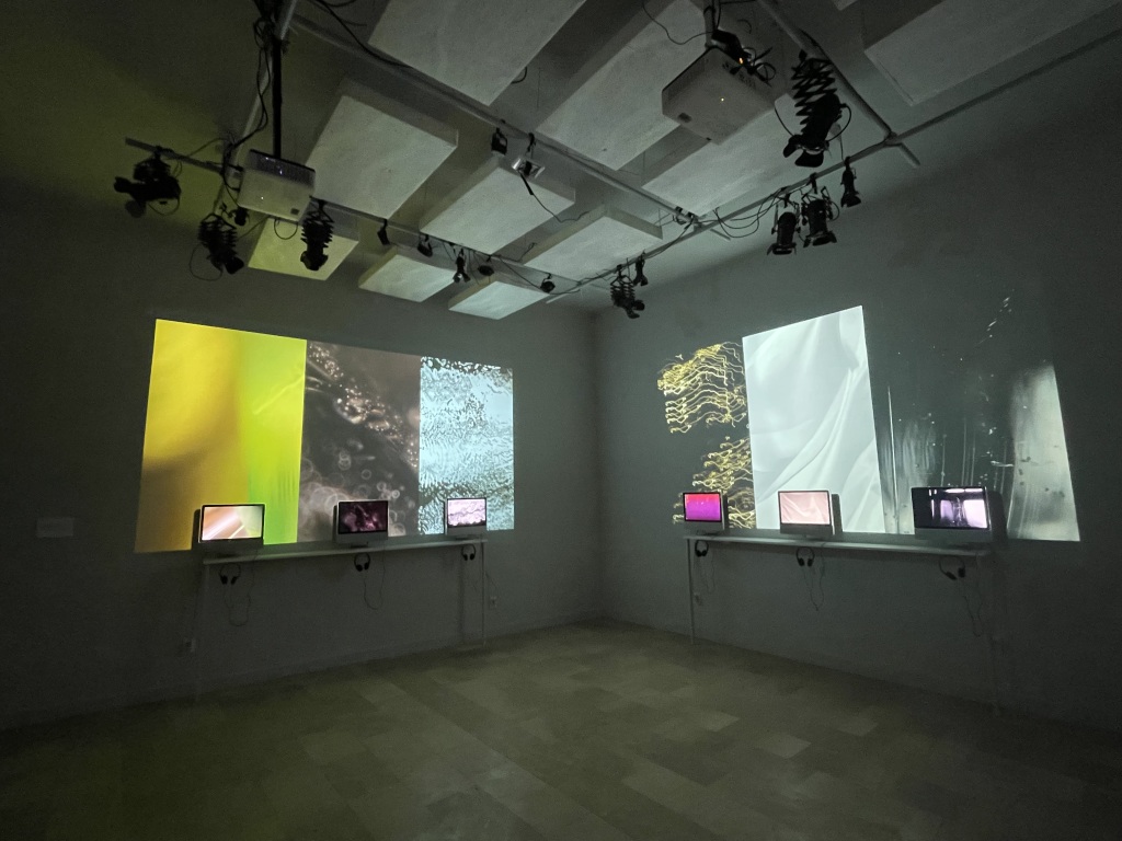 Čarna Nikolić, Video Sonorum, Zvočna-video instalacija, 2025
